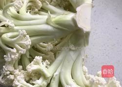 凉拌菜根的做法图解3