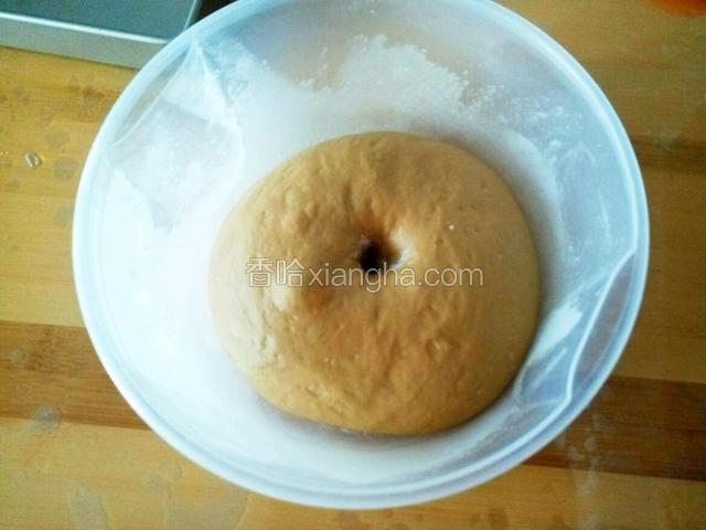 发酵至两倍大 取出排气