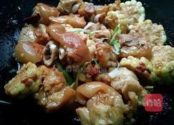 红烧玉米猪蹄的做法图解10