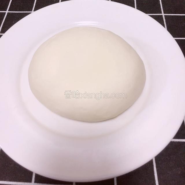 饺子面、面不要和太软