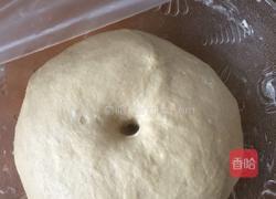 酸奶全麦面包的做法图解3