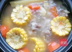 甘蔗玉米红罗卜猪尾汤的做法图解7