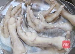 清汤鸡爪的做法图解5