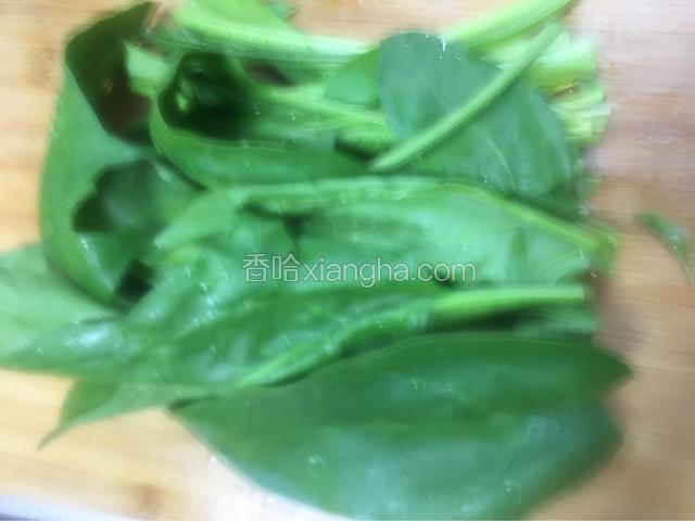 菠菜洗净后对半切开备用