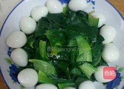 蒜蓉青菜鹌鹑蛋的做法图解4