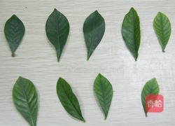 巧克力流心蛋糕的做法图解7