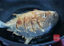 红烧鲳鱼的做法图解6