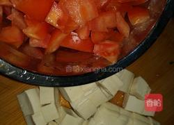 番茄豆腐的做法图解1