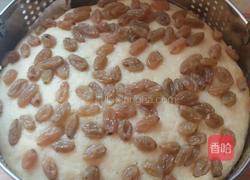 两发面葡萄干饽饽的做法图解5