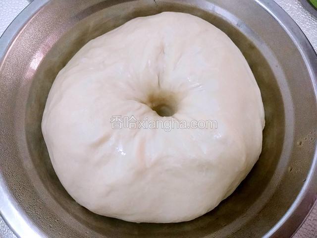 盖上保鲜膜放温暖处发酵，发至两倍大，用手指在面团中间戳一个洞，周围面团不回缩即可（我是放在锅里发的，锅底放盆温水，一个小时就发好了）