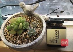 陈皮冰糖柠檬膏的做法图解8