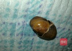 烤板栗栗的做法图解4