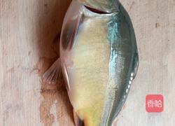 清蒸裸斑鱼的做法图解1