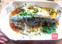 清蒸裸斑鱼的做法图解7