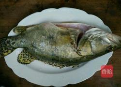 桂鱼闷豆腐的做法图解2