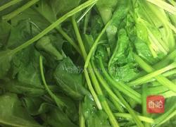 凉拌菠菜的做法图解4