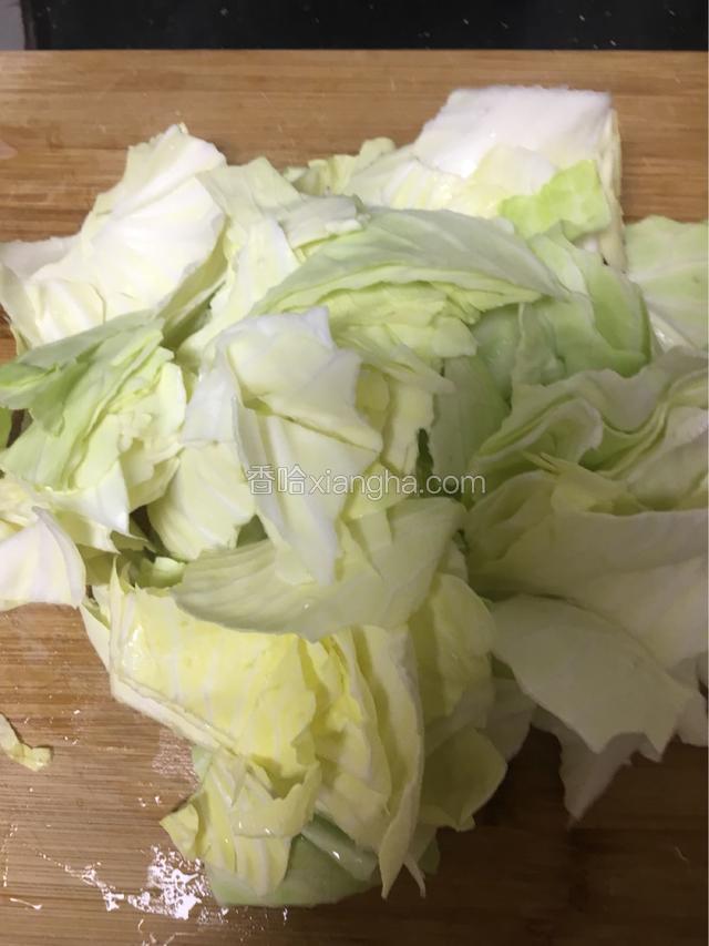 包菜用手撕成小片