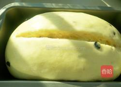 潘妮朵尼的做法图解17