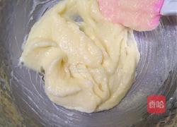 蔓越莓饼干的做法图解5