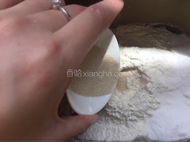 依次倒入固体中的面粉、糖和盐，中间挖洞倒入酵粉
