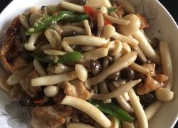 海鲜菇炒肉片