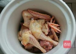 花旗参炖鸽子的做法图解3