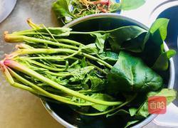 菠菜鸡蛋汤的做法图解1