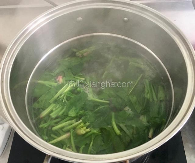 把菠菜放入锅中煮沸至变色。