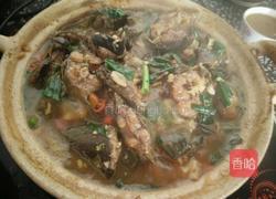 砂锅炖鱼的做法图解6