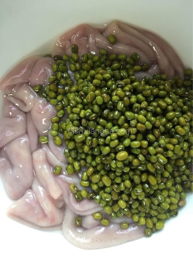 小肠和绿豆放入炖盅内，加入清水，炖制1.5小时