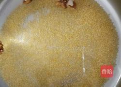 小米核桃粥的做法图解3