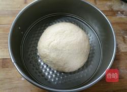 黑芝麻红薯发面饼的做法图解13
