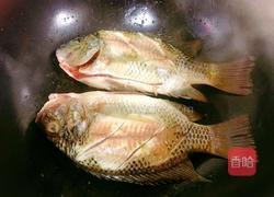 罗非鱼汤的做法图解4