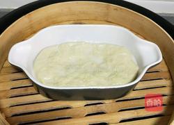 烤麸（也叫面筋）的做法图解7