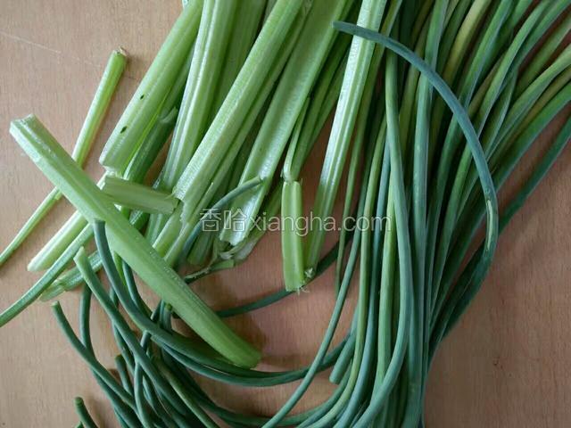 准备的青菜、蒜苔