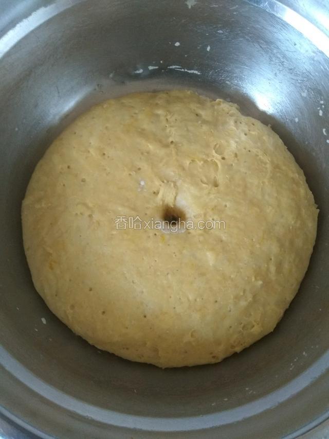 发酵好的面团，手指沾少许面粉，在中间扎个洞，不回缩代表面醒好了！