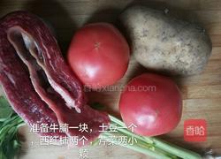 番茄牛腩煲的做法图解1