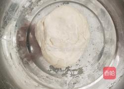 圆白菜肉馅饺子的做法图解6