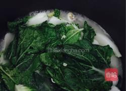 鲫鱼奶白菜汤的做法图解5