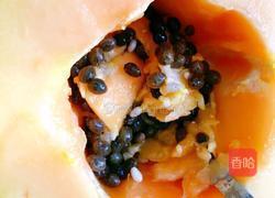 木瓜蒸蛋的做法图解3