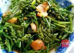 厥菜炒肉的做法图解5