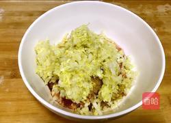 家庭版锅贴的做法图解4