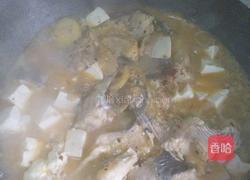 红烧肥膀的做法图解4