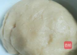 省时省力蛋黄酥(烫面法)的做法图解6