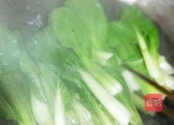 白灼蒜蓉上海青的做法图解5