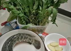 塘葛菜煲生鱼的做法图解1