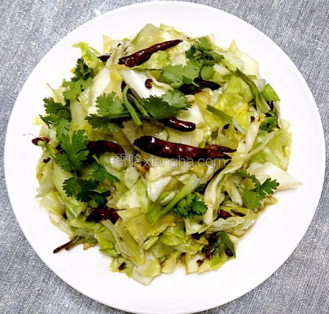 鲁菜大师蒋家常菜香辣圆白菜