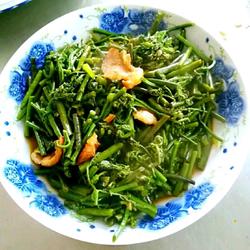厥菜炒肉