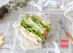 Tuna Cheese Sandwich Recipe Illustration 14