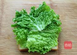 金枪鱼奶酪三明治的做法图解7